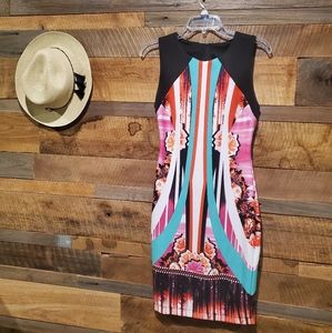 Fitted art print dress